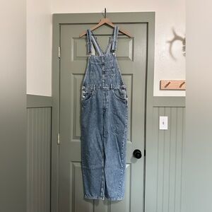 Free People We The Free Ziggy Denim Overalls